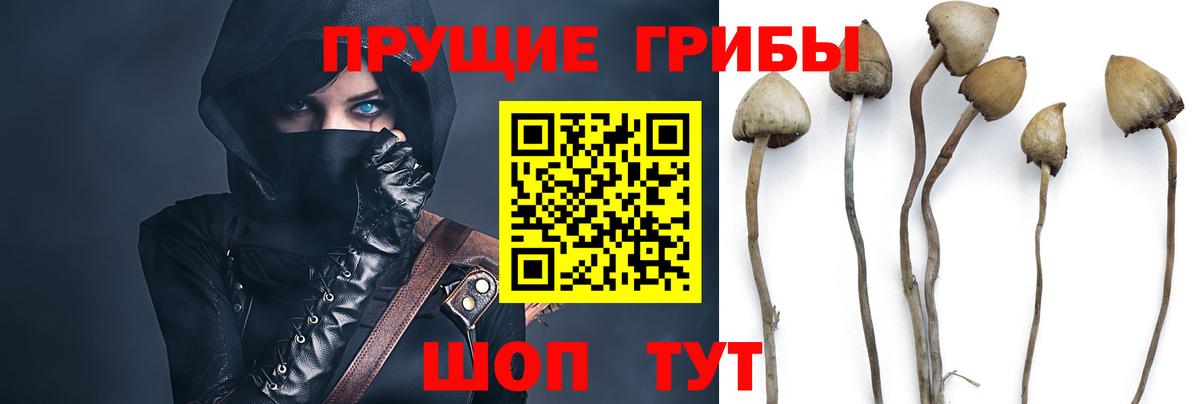 Кинешма  Псилоцибиновые грибы MAGIC MUSHROOMS  Вход с VPN 