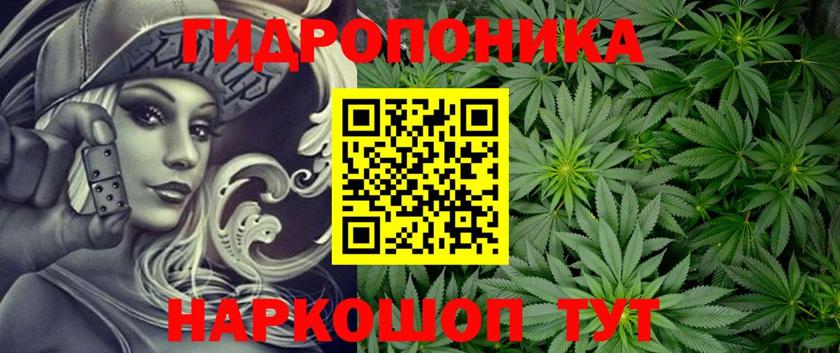 Бошки Шишки марихуана  Шишки марихуана AK-47  Кинешма  Вход с VPN  Бошки марихуана гибрид  Конопля Amnesia 